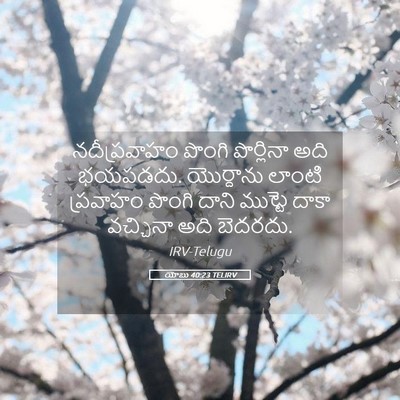 Picture 05 - యోబు 40:23 TELIRV - నదీప్రవాహం పొంగి - Bible Verse Picture