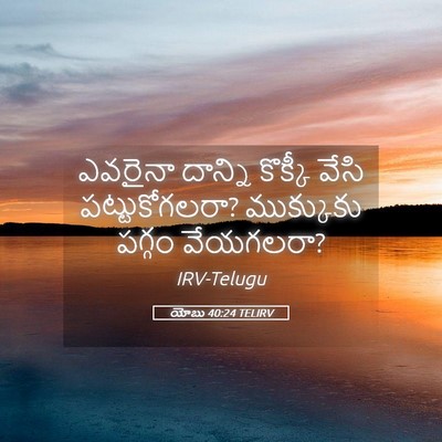 Picture 05 - యోబు 40:24 TELIRV - ఎవరైనా దాన్ని - Bible Verse Picture