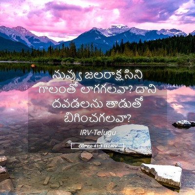 Picture 05 - యోబు 41:1 TELIRV - నువ్వు - Bible Verse Picture