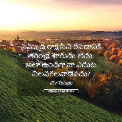 Picture 05 - యోబు 41:10 TELIRV - సముద్ర రాక్షసిని - Bible Verse Picture