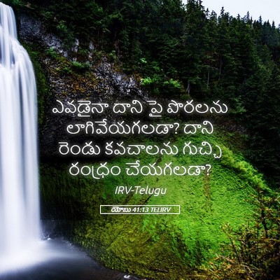 Picture 05 - యోబు 41:13 TELIRV - ఎవడైనా దాని పై - Bible Verse Picture