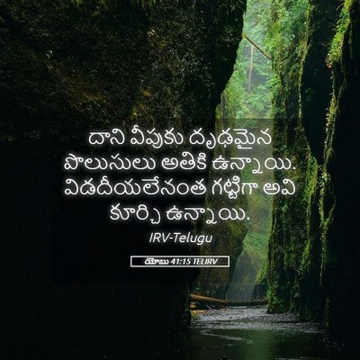 Picture 05 - యోబు 41:15 TELIRV - దాని వీపుకు - Bible Verse Picture