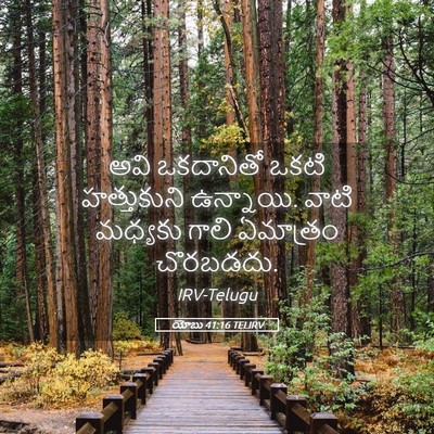 Picture 05 - యోబు 41:16 TELIRV - అవి ఒకదానితో ఒకటి - Bible Verse Picture