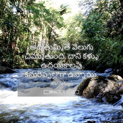 Picture 05 - యోబు 41:18 TELIRV - అది తుమ్మితే - Bible Verse Picture