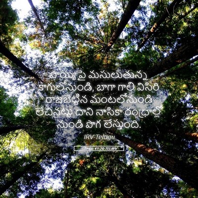 Picture 05 - యోబు 41:20 TELIRV - పొయ్యిపై - Bible Verse Picture
