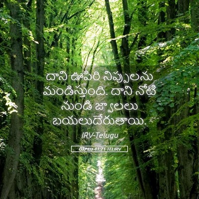 Picture 05 - యోబు 41:21 TELIRV - దాని ఊపిరి - Bible Verse Picture