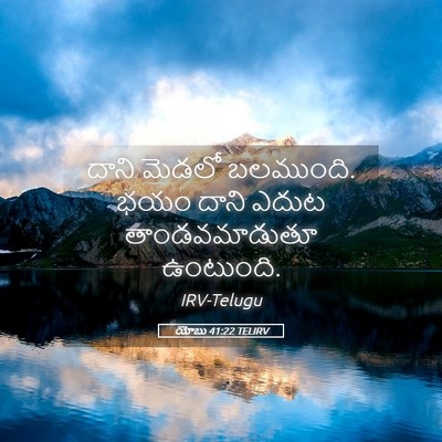 Picture 05 - యోబు 41:22 TELIRV - దాని మెడలో - Bible Verse Picture