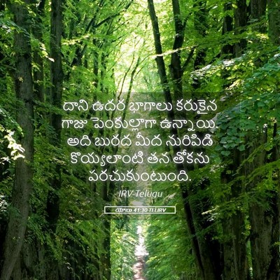Picture 05 - యోబు 41:30 TELIRV - దాని ఉదర భాగాలు - Bible Verse Picture
