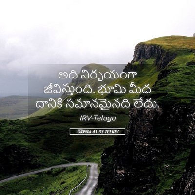 Picture 05 - యోబు 41:33 TELIRV - అది నిర్భయంగా - Bible Verse Picture