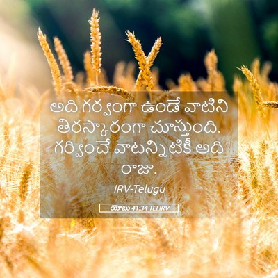 Picture 05 - యోబు 41:34 TELIRV - అది గర్వంగా ఉండే - Bible Verse Picture