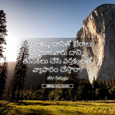 Picture 05 - యోబు 41:6 TELIRV - బెస్తవాళ్ళు - Bible Verse Picture