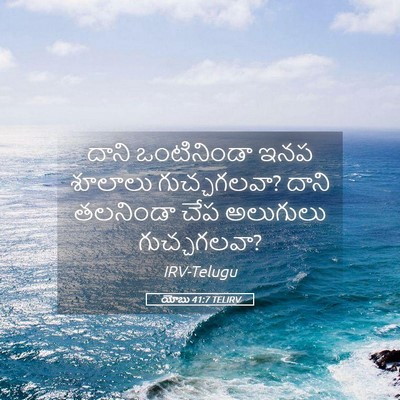 Picture 05 - యోబు 41:7 TELIRV - దాని ఒంటినిండా - Bible Verse Picture
