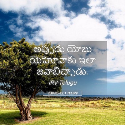 Picture 05 - యోబు 42:1 TELIRV - అప్పుడు యోబు - Bible Verse Picture
