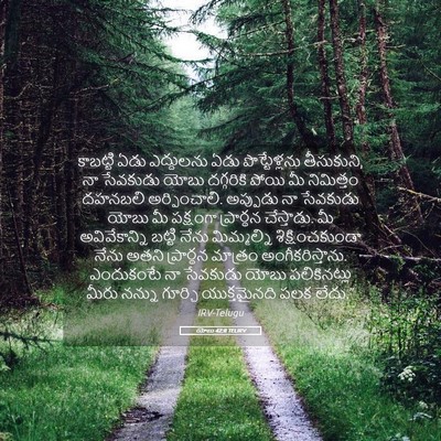 Picture 05 - యోబు 42:8 TELIRV - కాబట్టి ఏడు - Bible Verse Picture