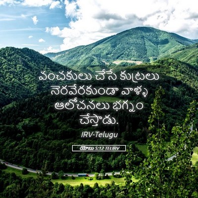 Picture 05 - యోబు 5:12 TELIRV - వంచకులు చేసే - Bible Verse Picture