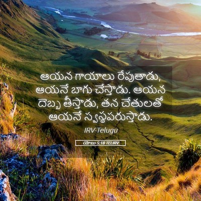Picture 05 - యోబు 5:18 TELIRV - ఆయన గాయాలు - Bible Verse Picture