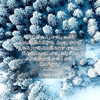 Picture 05 - యోబు 5:5 TELIRV - ఆకలితో ఉన్నవాళ్ళు - Bible Verse Picture