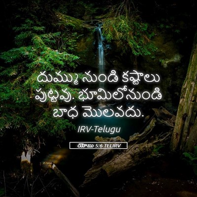 Picture 05 - యోబు 5:6 TELIRV - దుమ్ము నుండి - Bible Verse Picture