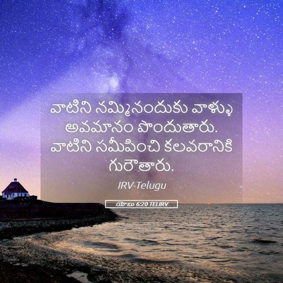 Picture 05 - యోబు 6:20 TELIRV - వాటిని - Bible Verse Picture