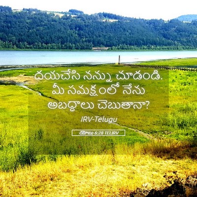Picture 05 - యోబు 6:28 TELIRV - దయచేసి నన్ను - Bible Verse Picture