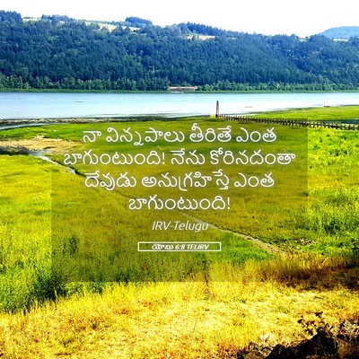 Picture 05 - యోబు 6:8 TELIRV - నా విన్నపాలు - Bible Verse Picture