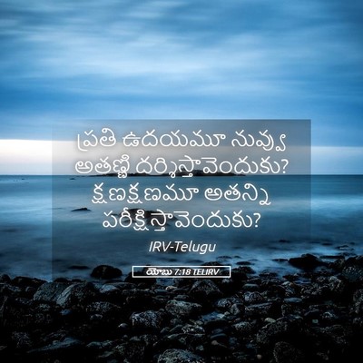 Picture 05 - యోబు 7:18 TELIRV - ప్రతి ఉదయమూ - Bible Verse Picture