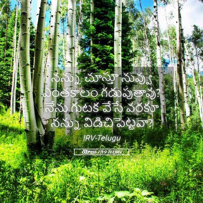Picture 05 - యోబు 7:19 TELIRV - నన్ను చూస్తూ - Bible Verse Picture