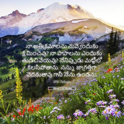 Picture 05 - యోబు 7:21 TELIRV - నా అతిక్రమాలను - Bible Verse Picture