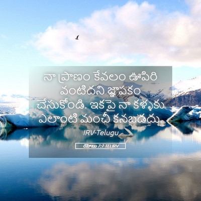 Picture 05 - యోబు 7:7 TELIRV - నా ప్రాణం కేవలం - Bible Verse Picture