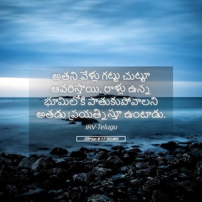 Picture 05 - యోబు 8:17 TELIRV - అతని వేళ్లు గట్టు - Bible Verse Picture
