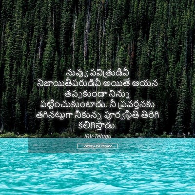 Picture 05 - యోబు 8:6 TELIRV - నువ్వు - Bible Verse Picture