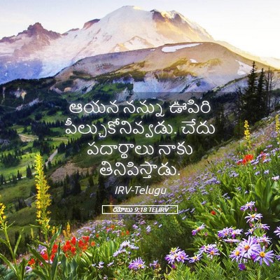 Picture 05 - యోబు 9:18 TELIRV - ఆయన నన్ను ఊపిరి - Bible Verse Picture
