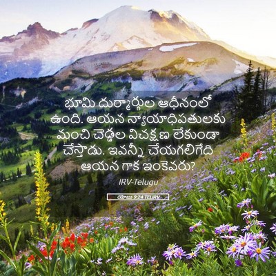 Picture 05 - యోబు 9:24 TELIRV - భూమి దుర్మార్గుల - Bible Verse Picture