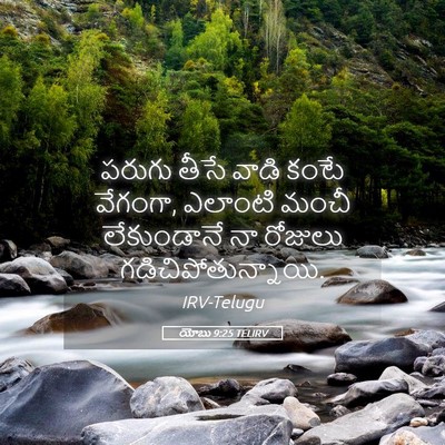 Picture 05 - యోబు 9:25 TELIRV - పరుగు తీసే వాడి - Bible Verse Picture