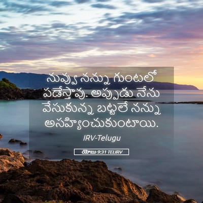 Picture 05 - యోబు 9:31 TELIRV - నువ్వు నన్ను - Bible Verse Picture