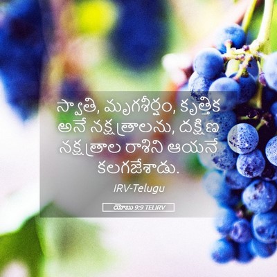 Picture 05 - యోబు 9:9 TELIRV - స్వాతి, మృగశీర్షం, - Bible Verse Picture