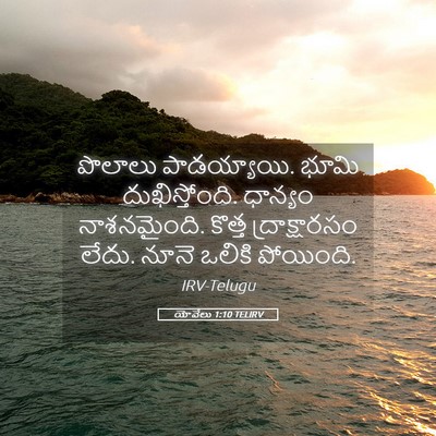 Picture 05 - యోవేలు 1:10 TELIRV - పొలాలు పాడయ్యాయి. - Bible Verse Picture