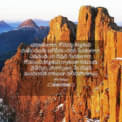 Picture 05 - యోవేలు 1:13 TELIRV - యాజకులారా, - Bible Verse Picture