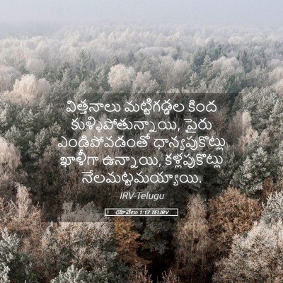 Picture 05 - యోవేలు 1:17 TELIRV - విత్తనాలు - Bible Verse Picture