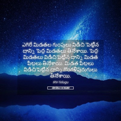 Picture 05 - యోవేలు 1:4 TELIRV - ఎగిరే మిడతల - Bible Verse Picture