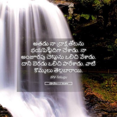 Picture 05 - యోవేలు 1:7 TELIRV - అతడు నా - Bible Verse Picture