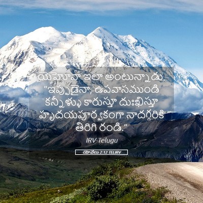 Picture 05 - యోవేలు 2:12 TELIRV - యెహోవా ఇలా - Bible Verse Picture