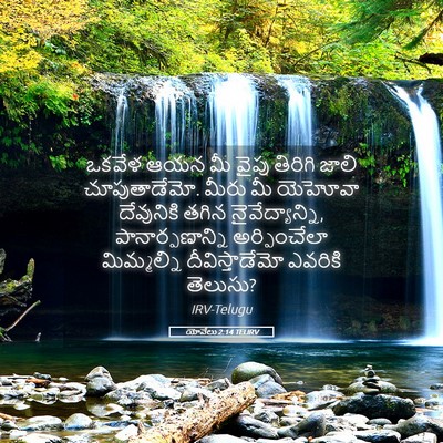 Picture 05 - యోవేలు 2:14 TELIRV - ఒకవేళ ఆయన మీ వైపు - Bible Verse Picture