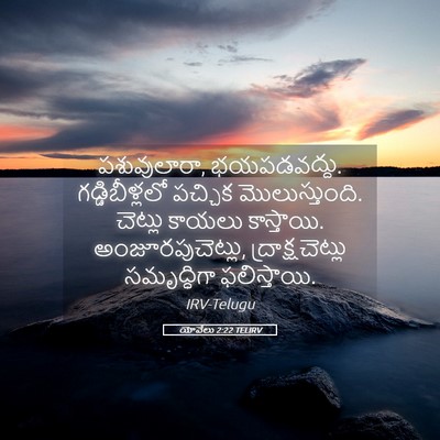 Picture 05 - యోవేలు 2:22 TELIRV - పశువులారా, - Bible Verse Picture
