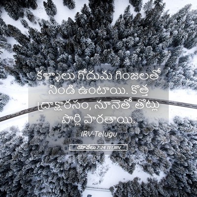 Picture 05 - యోవేలు 2:24 TELIRV - కళ్ళాలు గోదుమ - Bible Verse Picture