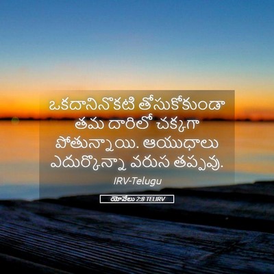 Picture 05 - యోవేలు 2:8 TELIRV - ఒకదానినొకటి - Bible Verse Picture