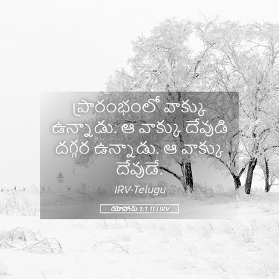 Picture 05 - యోహాను 1:1 TELIRV - ప్రారంభంలో వాక్కు - Bible Verse Picture