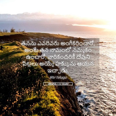 Picture 05 - యోహాను 1:12 TELIRV - తనను ఎవరెవరు - Bible Verse Picture
