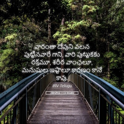 Picture 05 - యోహాను 1:13 TELIRV - వారంతా దేవుని వలన - Bible Verse Picture