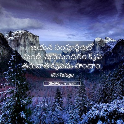 Picture 05 - యోహాను 1:16 TELIRV - ఆయన సంపూర్ణతలో - Bible Verse Picture